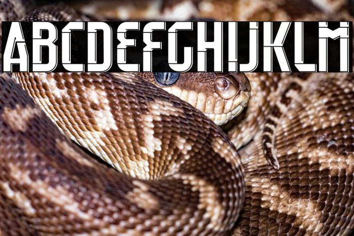 Raumdeuter Style 3 Personal Example 1