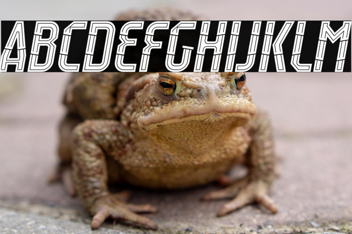 Raumdeuter Style 5 Italic Example 3