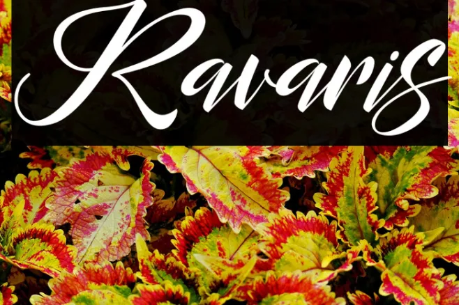 Ravaris Example 1