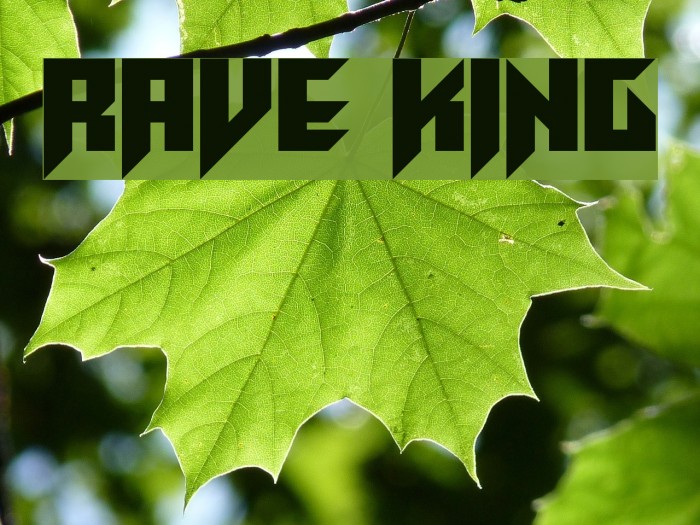Rave King Fuentes examples