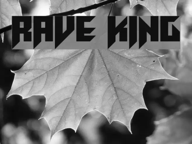 Rave King Font examples