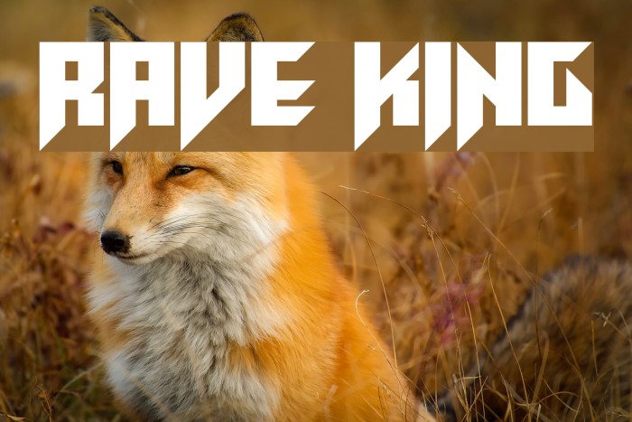 Rave King Fuentes examples