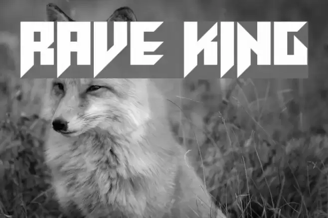 Rave King Font examples