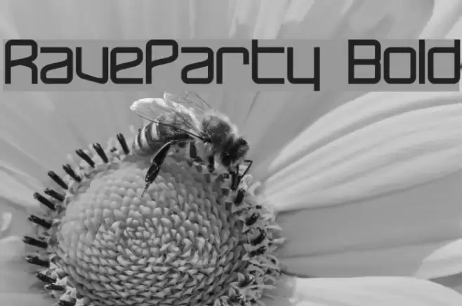 RaveParty Bold Font examples