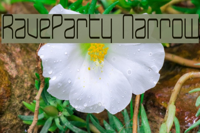 RaveParty Narrow Font examples