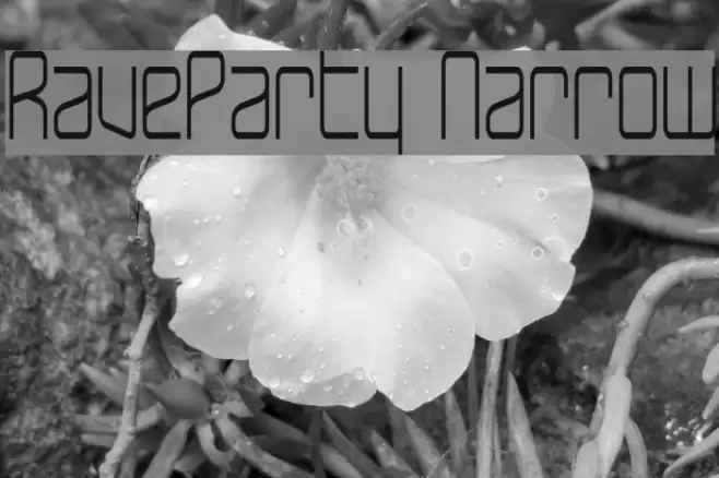 RaveParty Narrow Font examples
