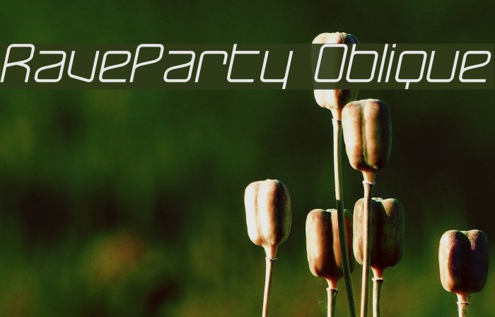 RaveParty Oblique Font examples