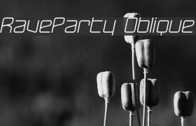 RaveParty Oblique Polices examples