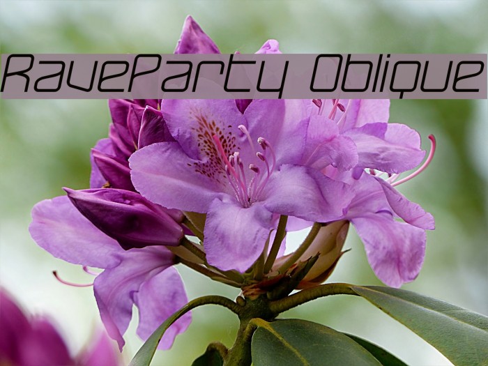 RaveParty Oblique Font examples