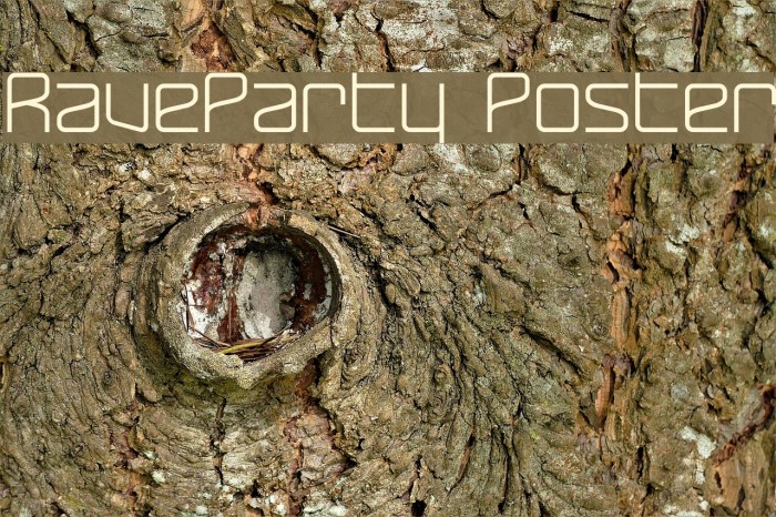 RaveParty Poster Font examples