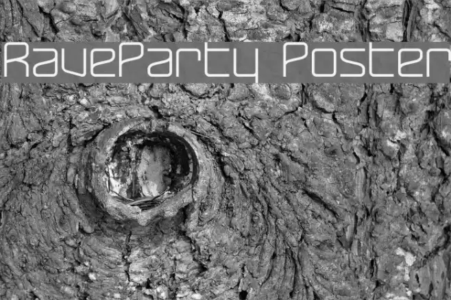 RaveParty Poster Schriftart examples
