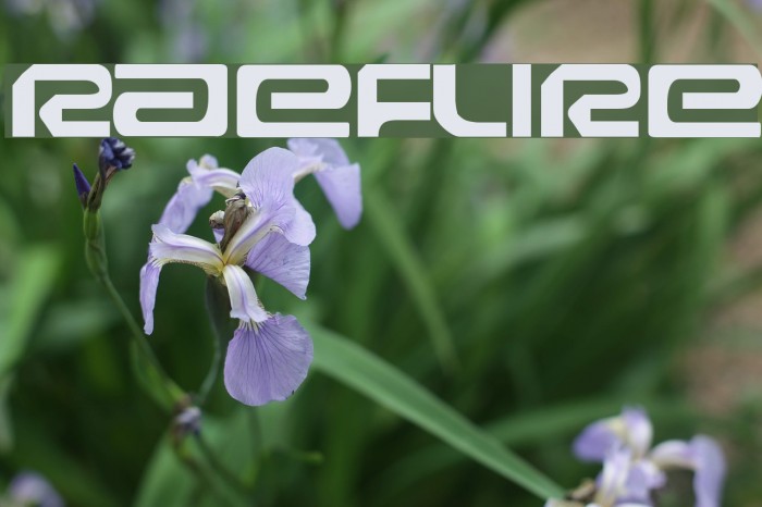 Raveflire Font examples