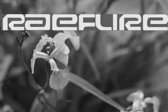 Raveflire Schriftart examples