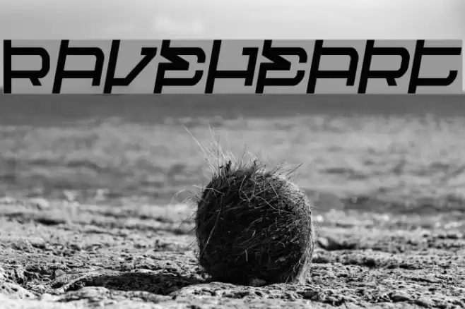 Raveheart フォント examples