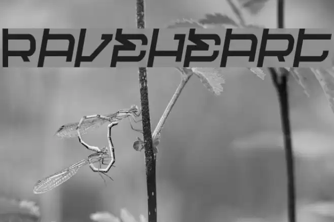Raveheart フォント examples