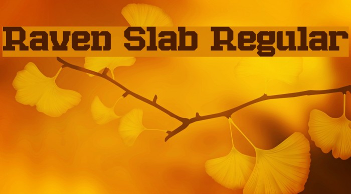 Raven Slab Regular Example 3