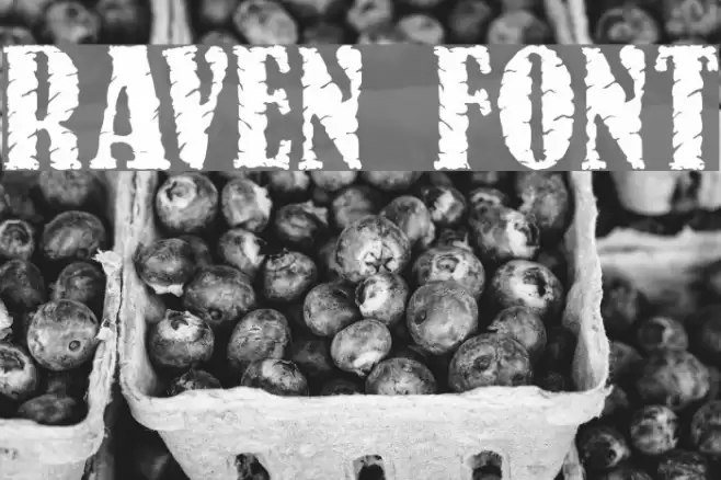Raven Font examples