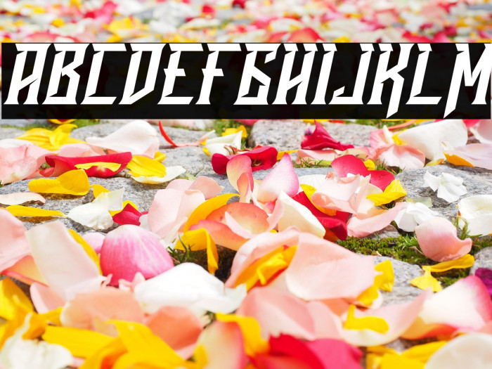 Ravenborg Italic Example 2