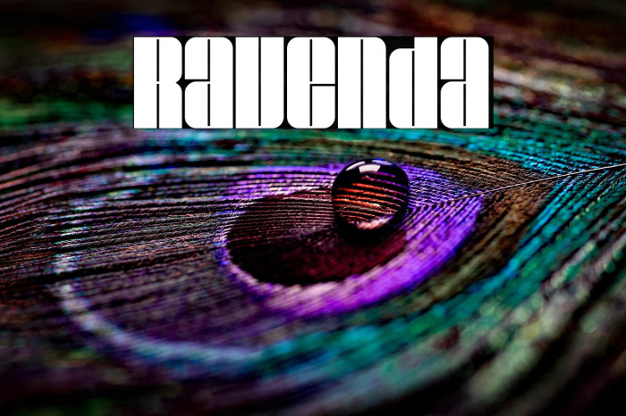 Ravenda Example 3