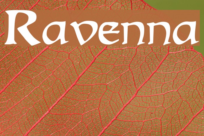 Ravenna Font examples