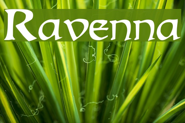 Ravenna Font examples