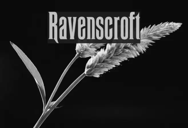 Ravenscroft Font examples