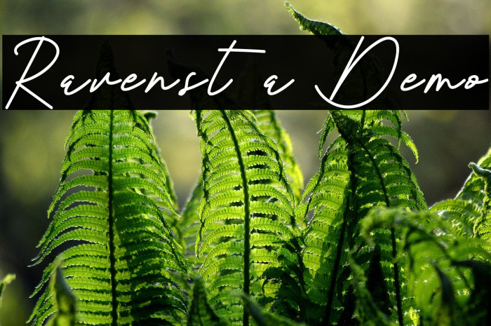 Ravensta Demo Example 1