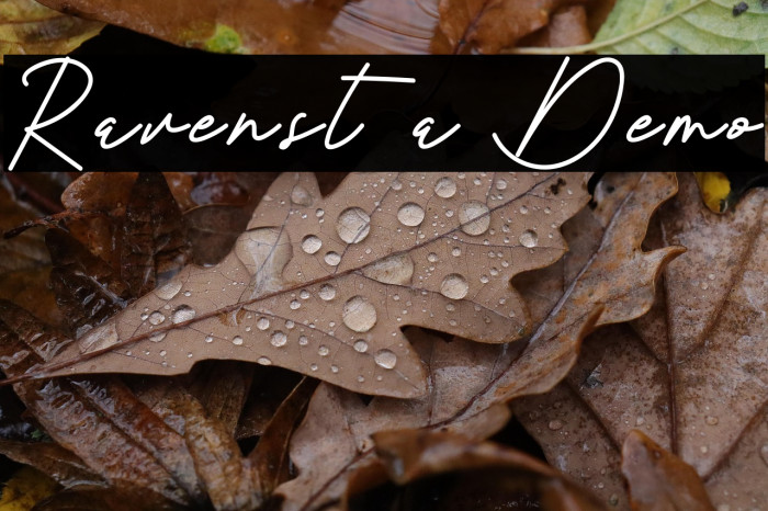 Ravensta Demo Example 3