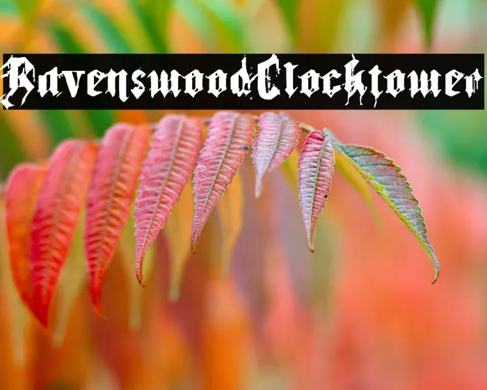 Ravenswood Clocktower Example 1