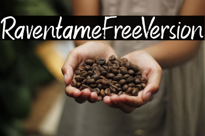 RaventameFreeVersion Example 1