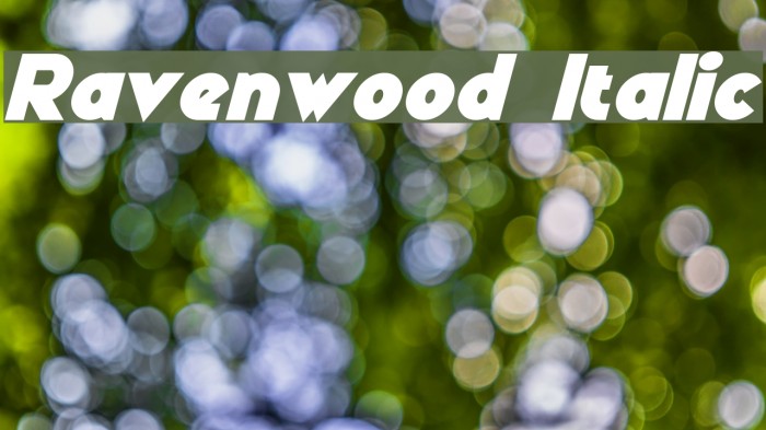 Ravenwood Italic Font examples