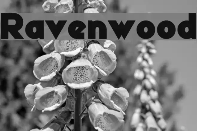 Ravenwood Font examples