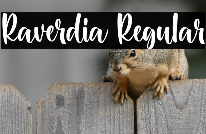 Raverdia Regular Example 2