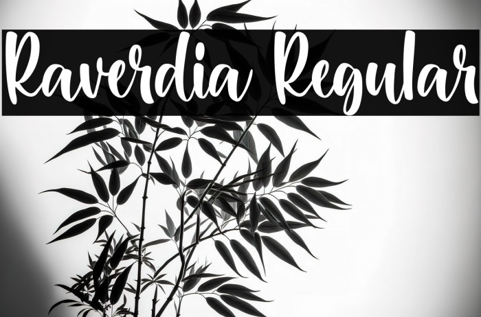 Raverdia Regular Example 3
