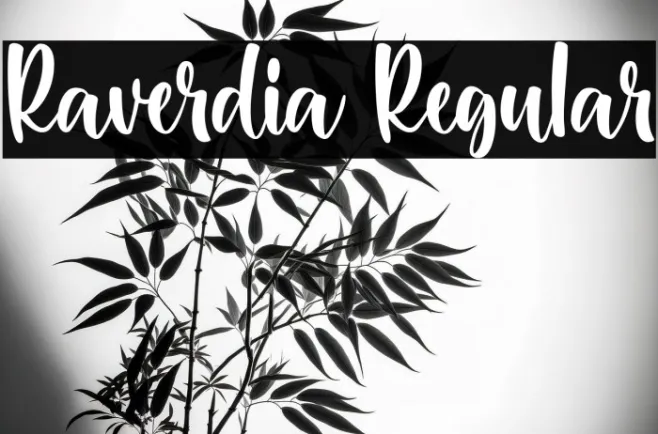 Raverdia Regular Example 3