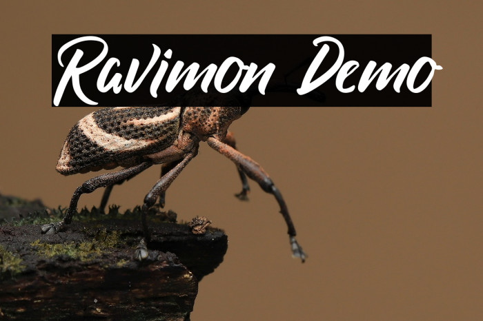 Ravimon Demo Example 3