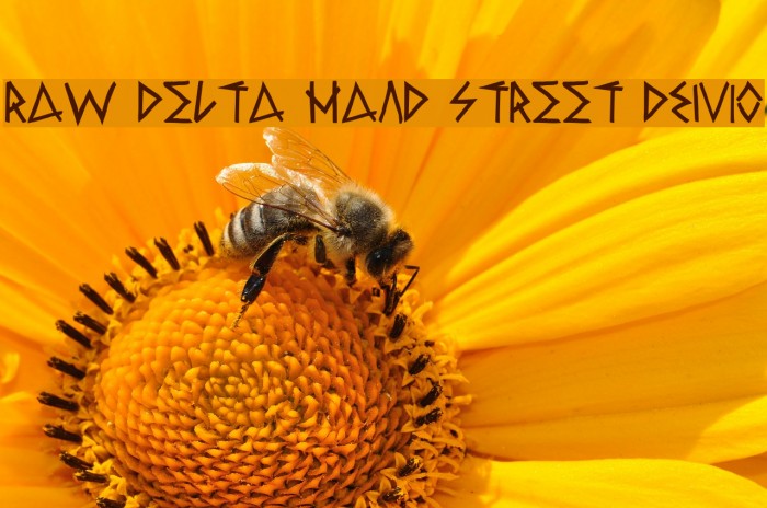 Raw Delta Hand Street DEMO Example 1