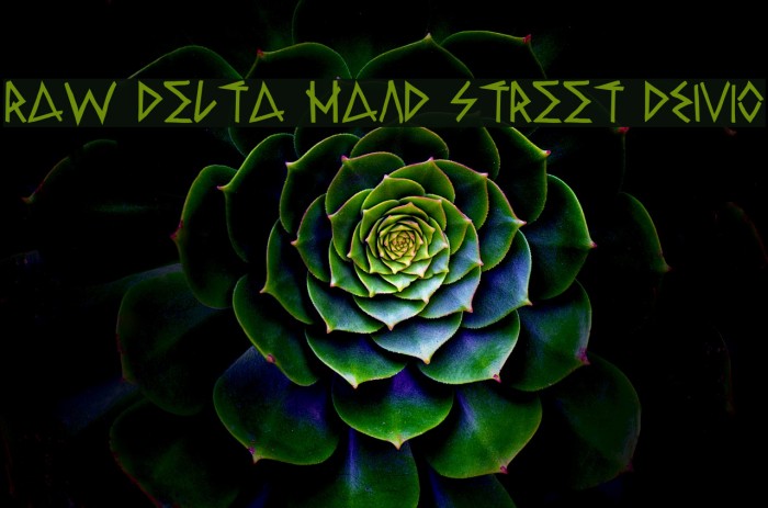 Raw Delta Hand Street DEMO Example 2