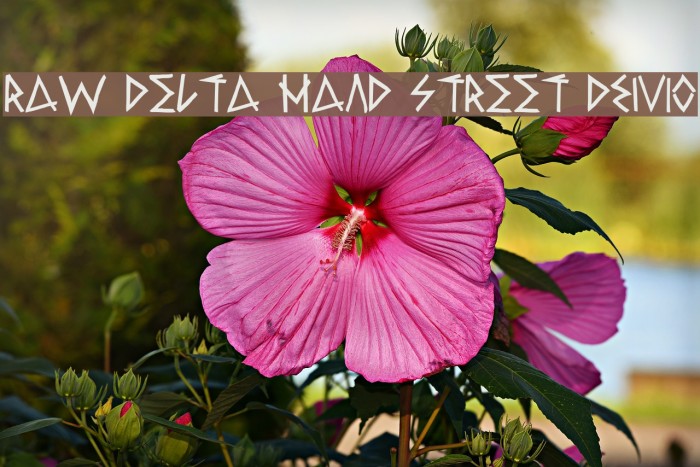 Raw Delta Hand Street DEMO Example 3