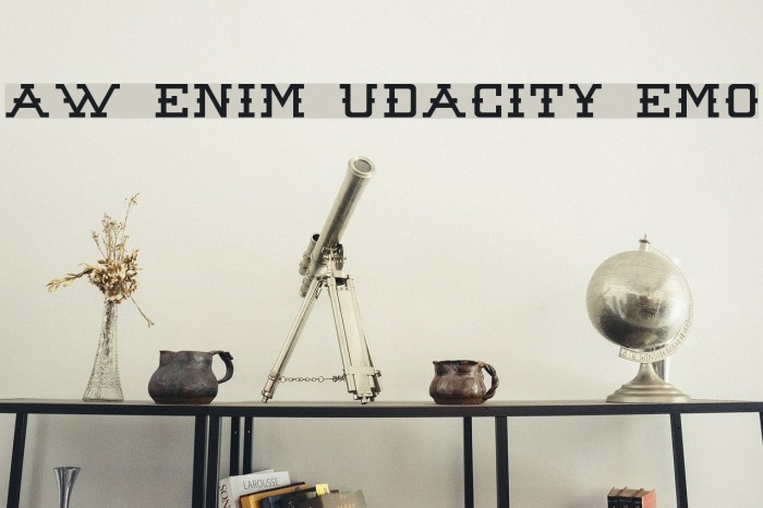 Raw Denim Audacity Demo Font examples