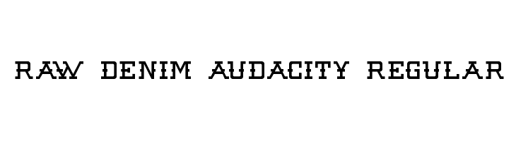 Raw Denim Audacity Regular Font