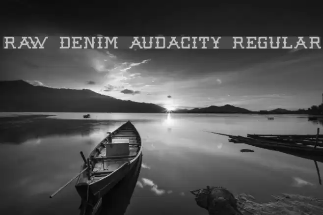 Raw Denim Audacity Regular Fuentes examples