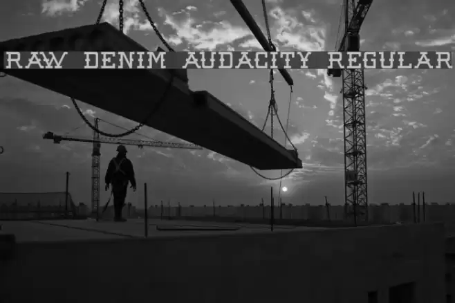 Raw Denim Audacity Regular Fuentes examples
