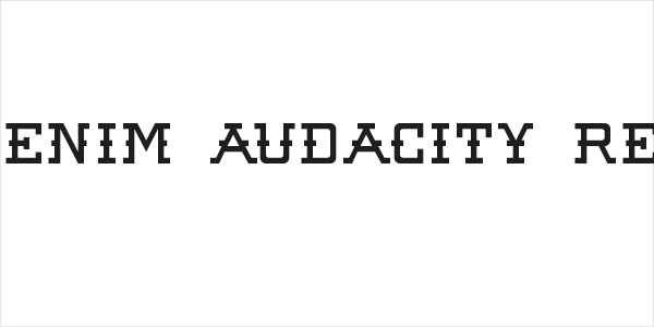 Raw Denim Audacity Regular Logo