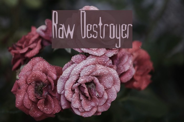 Raw Destroyer Example 1