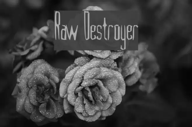 Raw Destroyer Font examples