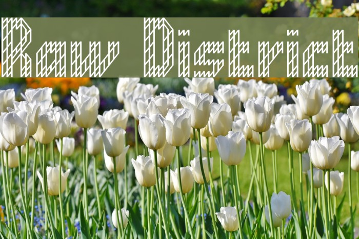 Raw District Example 1