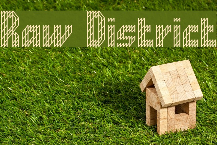 Raw District Example 2