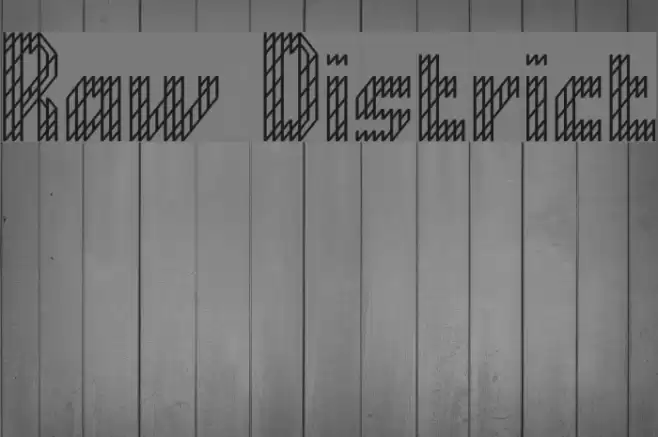 Raw District Font examples