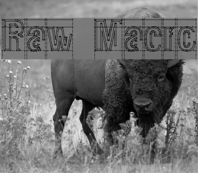 Raw Macro Font examples